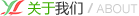 公司简介