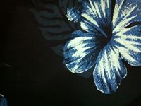 沙滩裤